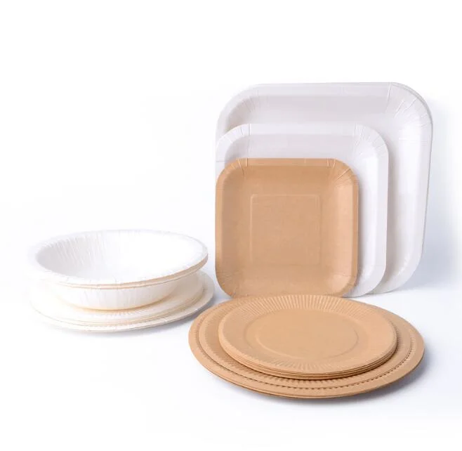 Disposable Compostable Round Square Paper Plate Party Supply